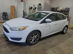 1FADP3K25GL384532 2016 FORD FOCUS