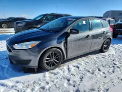 1FADP3K25HL239637 2017 FORD FOCUS