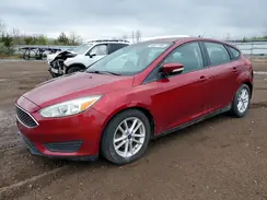 1FADP3K26GL339079 2016 FORD FOCUS