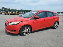1FADP3K28GL217162 2016 FORD FOCUS