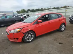 1FADP3K28GL348317 2016 FORD FOCUS