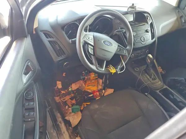 1FADP3K29GL234844 2016 FORD FOCUS - Image 8