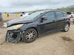 1FADP3K29GL335348 2016 FORD FOCUS
