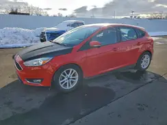 1FADP3K29GL405172 2016 FORD FOCUS