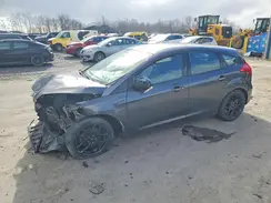 1FADP3K2XGL407206 2016 FORD FOCUS
