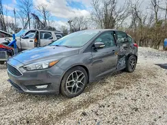 1FADP3M23HL242484 2017 FORD FOCUS