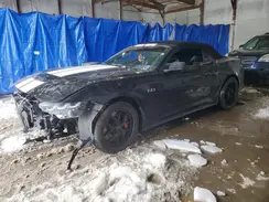 1FAGP8FF5R5103117 2024 FORD MUSTANG