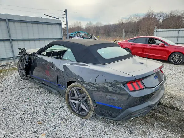 1FAGP8FF6R5140385 2024 FORD MUSTANG - Image 2
