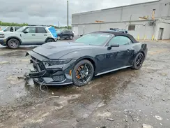 1FAGP8FF8R5100244 2024 FORD MUSTANG