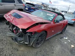1FAGP8FF8R5127489 2024 FORD MUSTANG