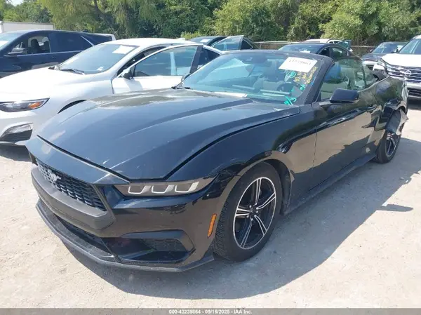 1FAGP8UH0R5105961 2024 FORD MUSTANG - Image 2