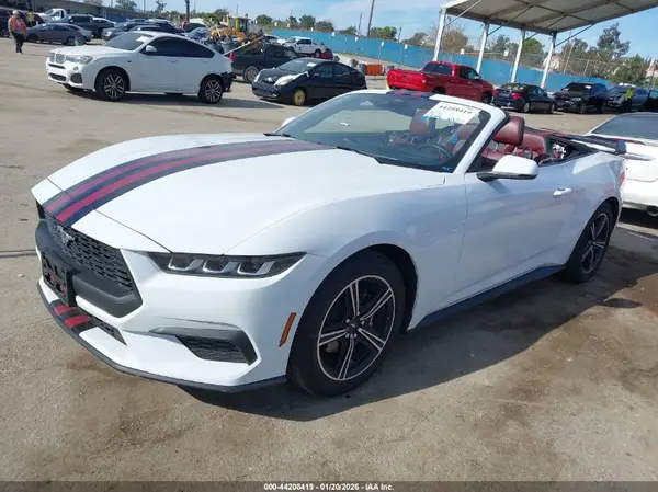 1FAGP8UH0R5108567 2024 FORD MUSTANG - Image 2