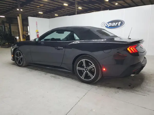 1FAGP8UH0R5120363 2024 FORD MUSTANG - Image 2