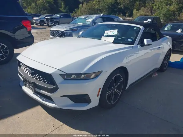 1FAGP8UH0R5130715 2024 FORD MUSTANG - Image 2