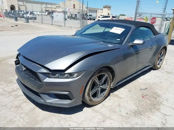 1FAGP8UH0R5135297 2024 FORD MUSTANG - Image 2