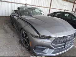 1FAGP8UH0S5117047 2025 FORD MUSTANG