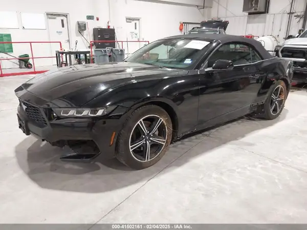 1FAGP8UH1R5105810 2024 FORD MUSTANG - Image 2