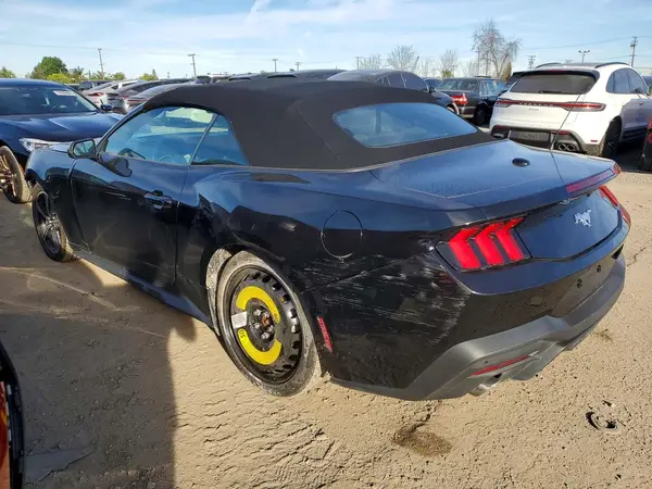 1FAGP8UH1R5113339 2024 FORD MUSTANG - Image 2