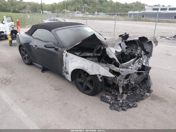 1FAGP8UH1R5119013 2024 FORD MUSTANG - Image 1
