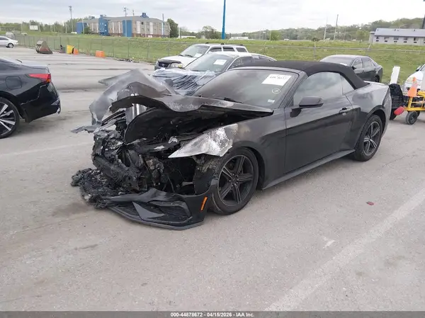 1FAGP8UH1R5119013 2024 FORD MUSTANG - Image 2
