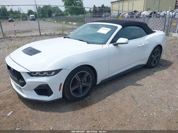 1FAGP8UH1R5124972 2024 FORD MUSTANG - Image 2