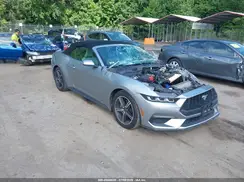 1FAGP8UH1R5131517 2024 FORD MUSTANG