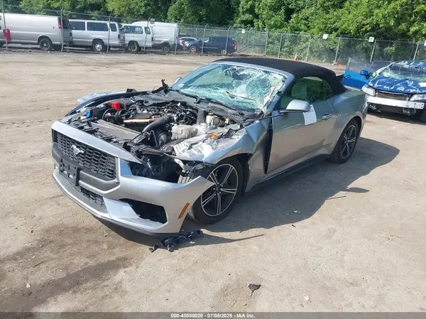 1FAGP8UH1R5131517 2024 FORD MUSTANG - Image 2