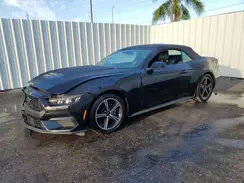 1FAGP8UH1R5132571 2024 FORD MUSTANG