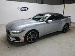 1FAGP8UH1R5132599 2024 FORD MUSTANG