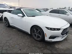 1FAGP8UH1R5132926 2024 FORD MUSTANG