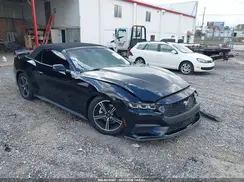1FAGP8UH1R5135311 2024 FORD MUSTANG