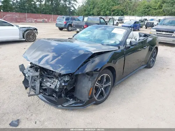 1FAGP8UH1R5135616 2024 FORD MUSTANG - Image 2