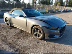 1FAGP8UH1S5124203 2025 FORD MUSTANG