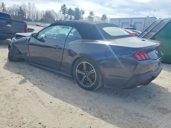 1FAGP8UH2R5101586 2024 FORD MUSTANG - Image 2