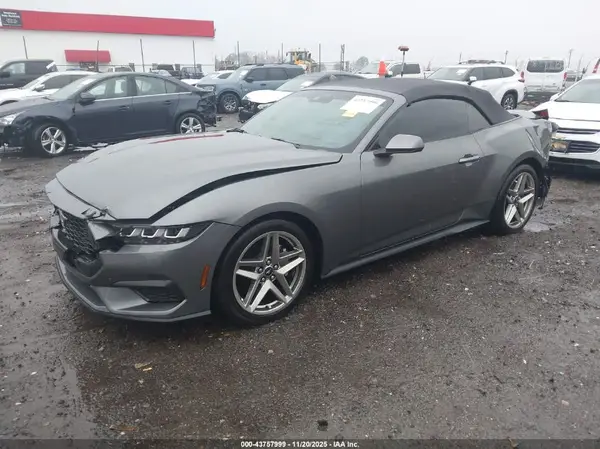 1FAGP8UH2R5110708 2024 FORD MUSTANG - Image 2