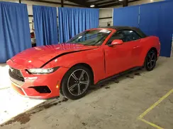 1FAGP8UH2R5120865 2024 FORD MUSTANG