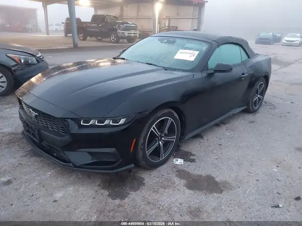 1FAGP8UH2R5132563 2024 FORD MUSTANG - Image 2