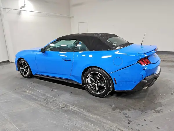 1FAGP8UH2R5136337 2024 FORD MUSTANG - Image 2