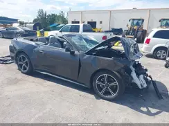 1FAGP8UH2R5140646 2024 FORD MUSTANG