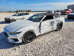 1FAGP8UH3R5100284 2024 FORD MUSTANG