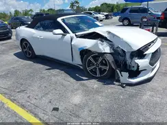 1FAGP8UH3R5120731 2024 FORD MUSTANG