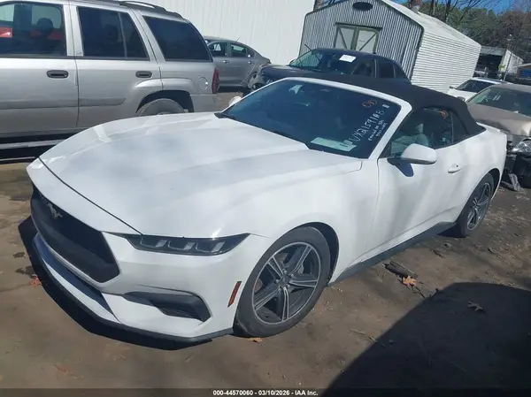 1FAGP8UH3R5127128 2024 FORD MUSTANG - Image 2