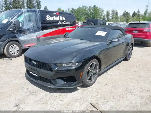1FAGP8UH3R5136797 2024 FORD MUSTANG - Image 2