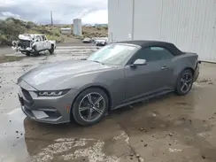 1FAGP8UH3S5105684 2025 FORD MUSTANG