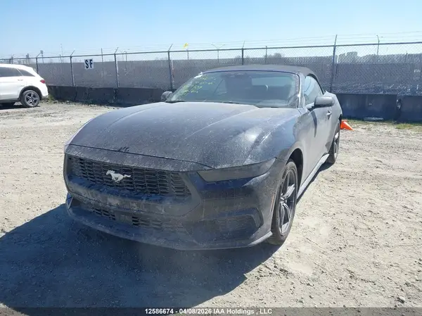 1FAGP8UH3S5119729 2025 FORD MUSTANG - Image 2