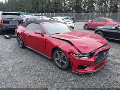 1FAGP8UH4R5106515 2024 FORD MUSTANG