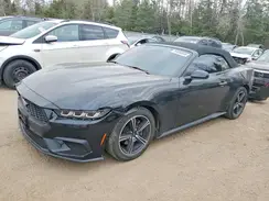 1FAGP8UH4R5127073 2024 FORD MUSTANG