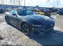 1FAGP8UH4R5127204 2024 FORD MUSTANG