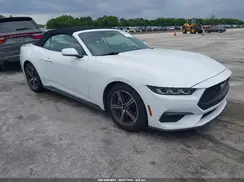 1FAGP8UH4R5127588 2024 FORD MUSTANG
