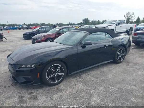 1FAGP8UH4R5129132 2024 FORD MUSTANG - Image 2